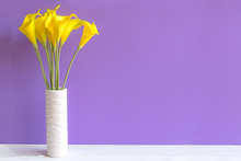Purple Wall With Calla Lily Yellow Flower On Shelf White Wood, Copy Space For Text. Still Life Concept