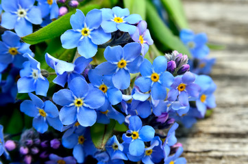bouquet of blue forget-me on a wooden background