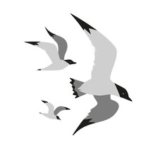 Seagull Icon Set. Monochrome Black White Minimalism Style. Flying Bird Logo. Seabird Marine Symbol Isolated. Nautical Animal Emblem. Element For Banner Background. Vector Design Of Advertisement Label
