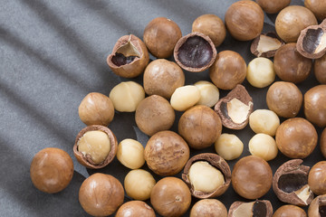 Poster - Macadamia nuts - Macadamia integrifolia