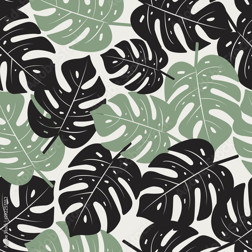 Obraz w ramie Monstera Leaves Seamless Pattern. Tropical vector texture.