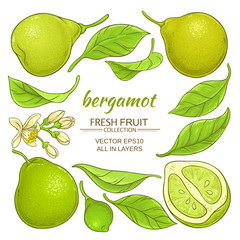 Wall Mural - bergamot elements set