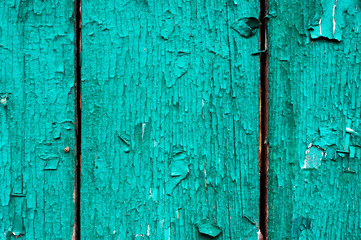 Old boards with cracked cyan paint. Textured wooden old background with vertical lines. Wooden planks close up for your design. Green-blue many times painted old wall with lagged fragments of paint