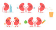 Set, collection of cartoon doodle kidney character, nice and smiling, doing different activities to keep themselves healthy. World kidney day illustrations.