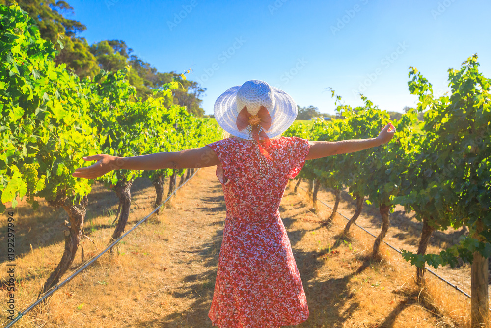 Australian vineyard. Carefree blonde woman with open arms among the rows of grapes, enjoys the harvest in Margaret River known as the wine region in Western Australia. - obrazy, fototapety, plakaty 