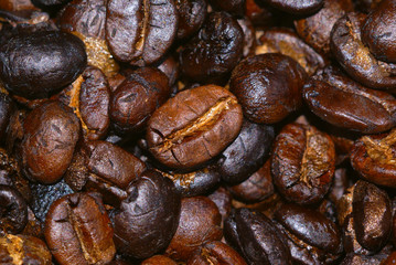 Wall Mural - coffee bean texture background