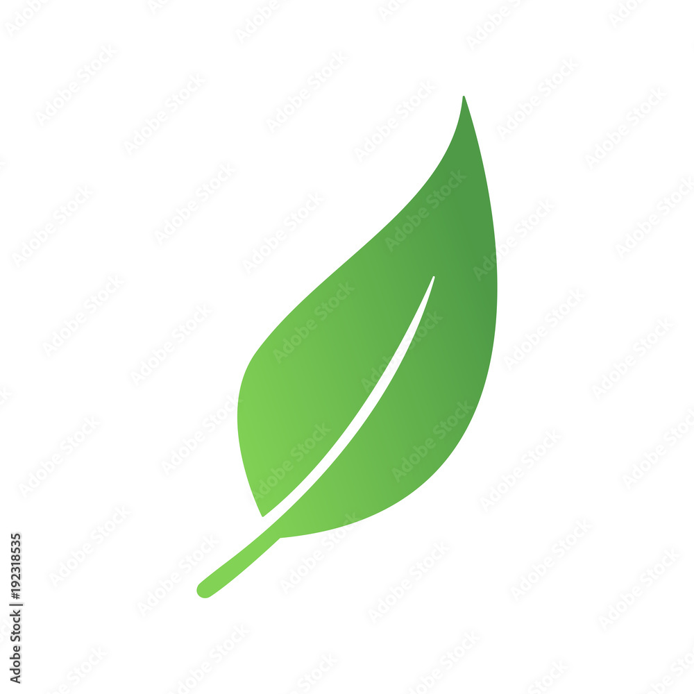 Zielony liść eko - obrazy, fototapety, plakaty 