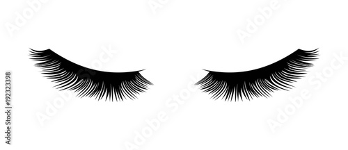 Eyelashes vector illustration Stock Vector | Adobe Stock