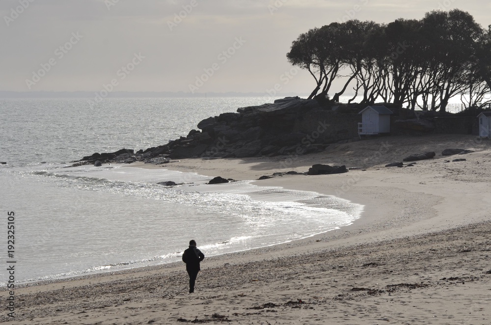Photo Art Print île De Noirmoutier Plage Des Dames Et