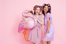 Two Girls With Hair Curlers And Pink Flamingo Baloon. They Are Celebrating Women's Day March 8.