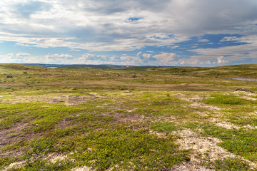 tundra landscape in the north of russia