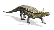 Desmatosuchus Dinosaur