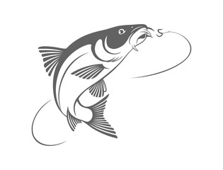 Wall Mural - fish barbel