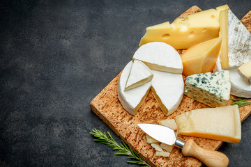 Wall Mural - Various types of cheese - parmesan, brie, roquefort, cheddar