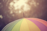 Fototapeta Tęcza -  Close-up  umbrella in rainbow colors in rainy autumn day, blur focus