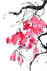  Blossom tree branch