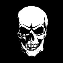 White Skull On A Black Background