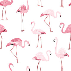 Plakat egzotyczny flamingo raj dziki fauna