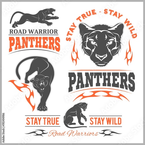 Foto  Black panther head