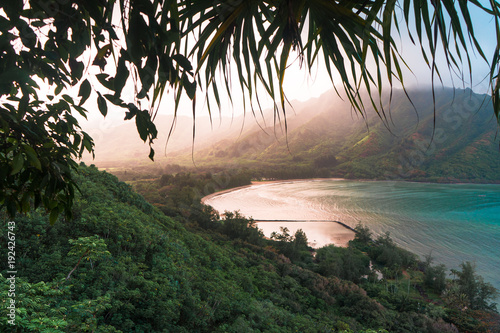 Fotografia, Obraz Hiding in the foliage of the Hawaiian rain forest