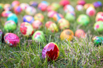 Wall Mural - Colorful Easter egg in the grass