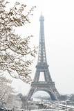 Fototapeta Miasta - The Eiffel tower seen through snow-covered branches on a snowy day in Paris, France, with the top of the tower disappearing slightly in the mist.