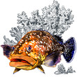 Fresh giant grouper sea fish with corals, isolated. Watercolor illustration on white background. Marine wallpaper