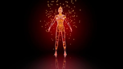 3d rendered animation of the female astral energy flowing through the body.