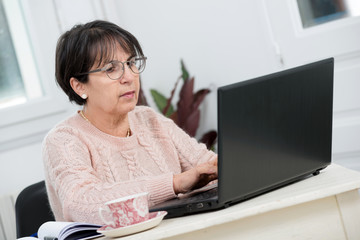 Wall Mural - beautiful middle age woman using laptop in home