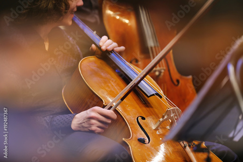 Fotomural violoncelle instrument musique classique archet lutherie luthier