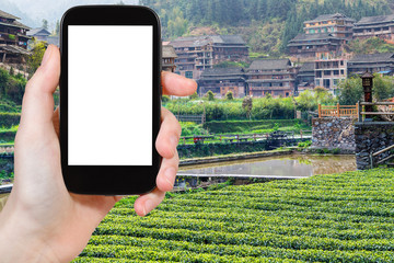 Poster - tourist photograph tea plantation in Chengyang