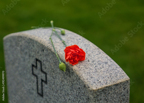 Fotografía Red Rose on a veterans tombstone
