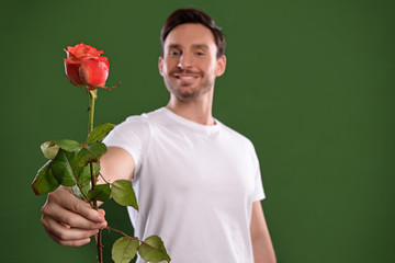 Wall Mural - Handsome smart man who is a bachelor    holding a beautiful red rose as a gift or present on a first date, valentines day or birthday with a smile isolated on a black background