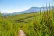Südafrika, KwaZulu-Natal, Giants Castle Game Reserve, Auf Wanderung beim Cathedral Peak in den Drakensbergen, Pfad durch eine grüne Landschaft in den Drakensbergen