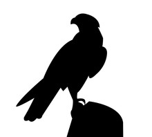 Falcon Standing On A Rock Silhouette