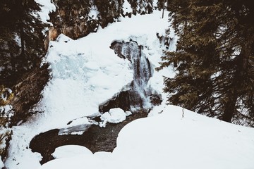 Wall Mural - ousel falls