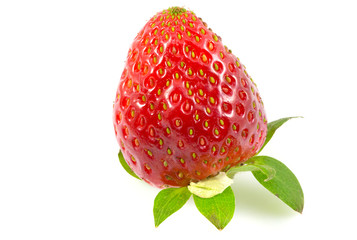 Delicious red strawberry on a white background, Ripe strawberry isolated.