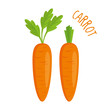 Carrot vector illustration isolated