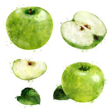 Green Apple On White Background. Watercolor Illustration