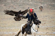 Mongolia. Traditional Golden Eagle Festival. Unknown Mongolian Hunter  ( Berkutchi ) On Horse With Golden Eagle. Falconry In West Mongolia