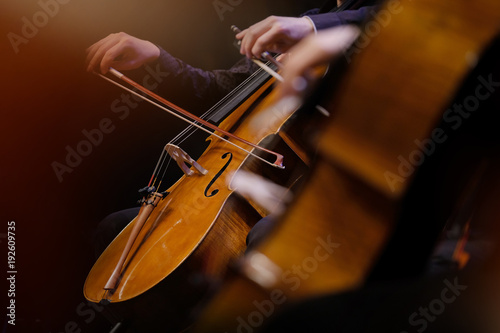 Obrazy wiolonczela  wiolonczela
