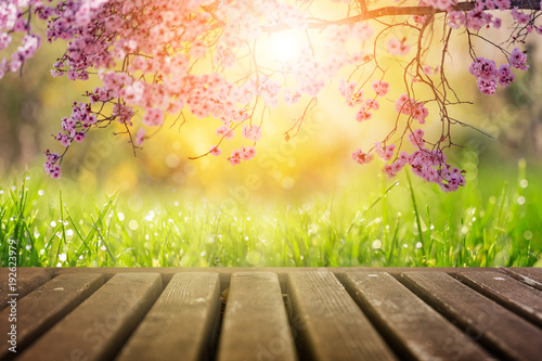 Spring flowers and wooden deck in morning sunlight background