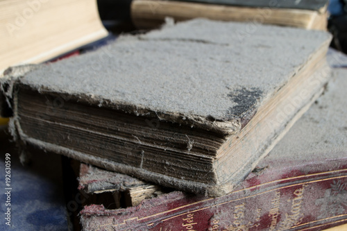 Fotografía german antique books with layers of dust