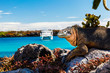 land iguana with a white boat in the background, South Plaza Island
