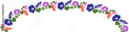 Fotografía Horizontal banner arch convolvulus