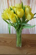 Bukiet żółtych tulipanów w szklanym wazonie