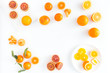Composition of Blood Oranges, Oranges and Clementines