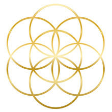 Golden Seed Of Life. Precursor Of Flower Of Life Symbol. Unique Geometrical Figure, Composed Of Seven Overlapping Circles Of Same Size, Forming The Symmetrical Structure Of A Hexagon.