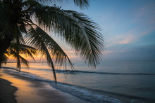 Beautiful Sunset Above The Sea With Views Of Palm Trees On White Beach