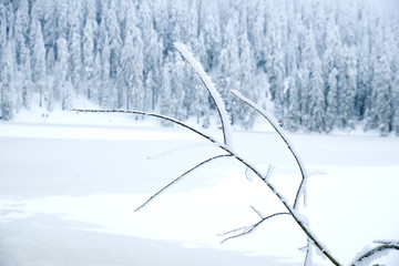 Wall Mural - Mummelsee im Winter